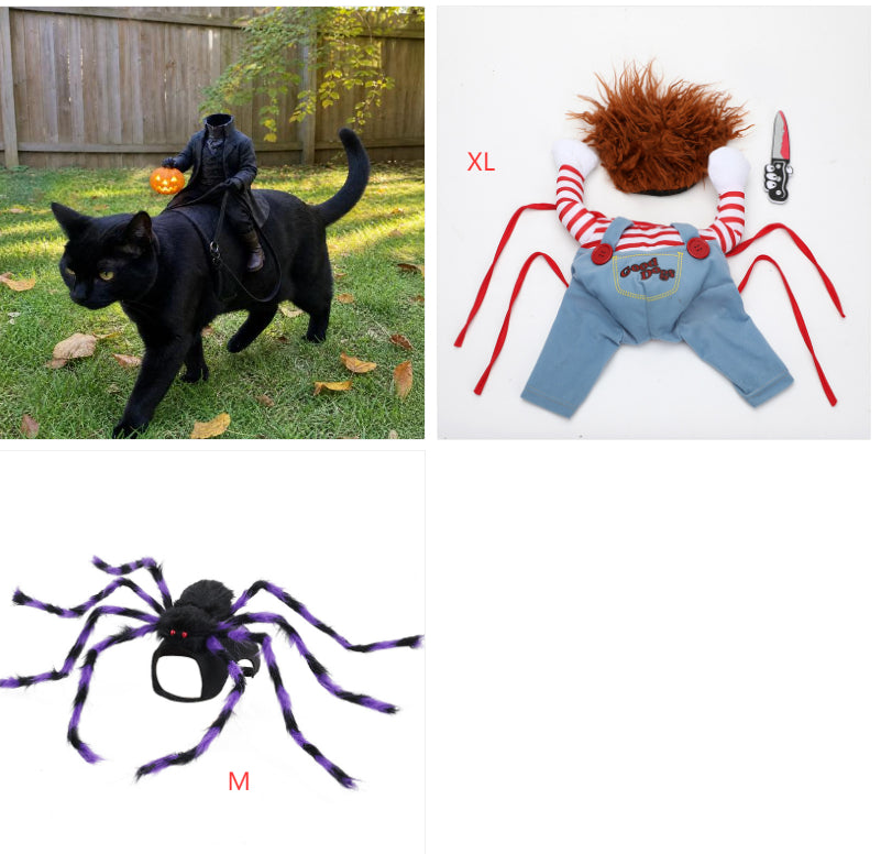 Pet costume options: headless rider costume on black cat, striped overalls costume set, and purple spider costume