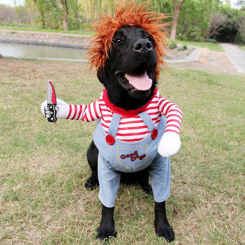 Black Labrador wearing striped shirt and overalls Halloween costume with red wig and foam knife