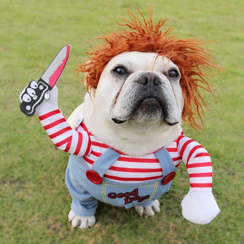 Bulldog on grass wearing striped shirt and overalls Halloween dog costume with red wig and foam knife