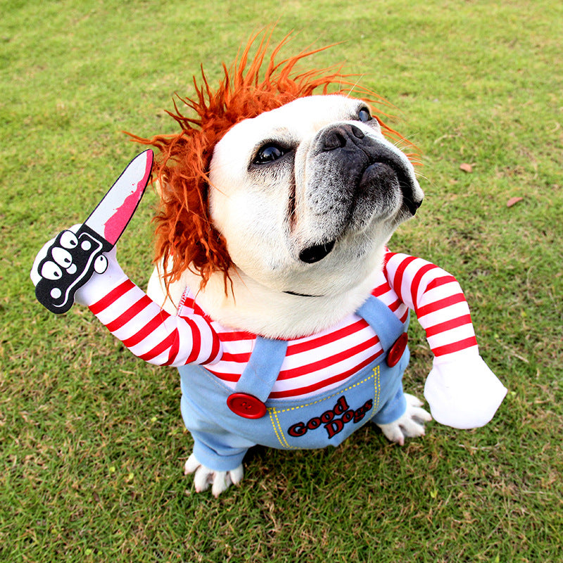 Bulldog looking up in striped shirt and overalls Halloween costume with red wig and foam knife