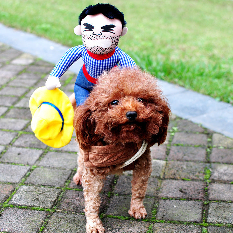 Poodle wearing cowboy rider Halloween costume with plaid shirt and yellow hat