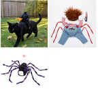 Pet costume options: black cat in headless rider costume, striped overalls costume set, and purple spider costume