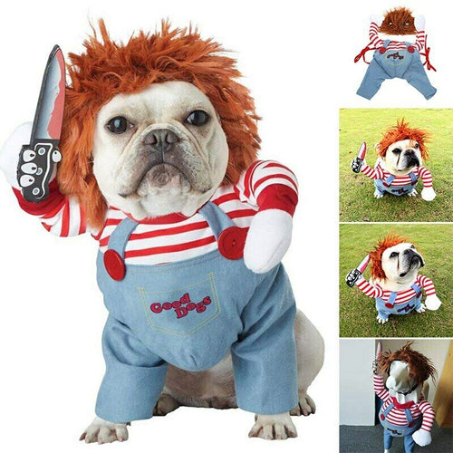 French bulldog in striped shirt and denim overalls Halloween costume with red wig and foam knife